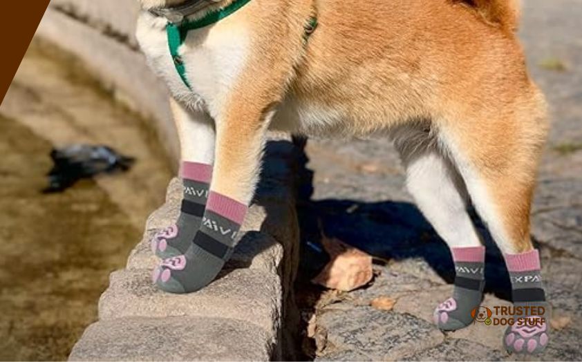 best anti slip socks for dogs