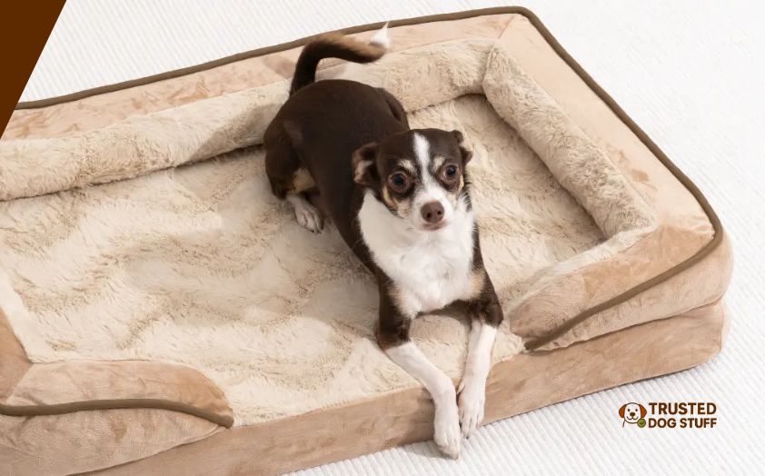 best bed sheets for dog owners