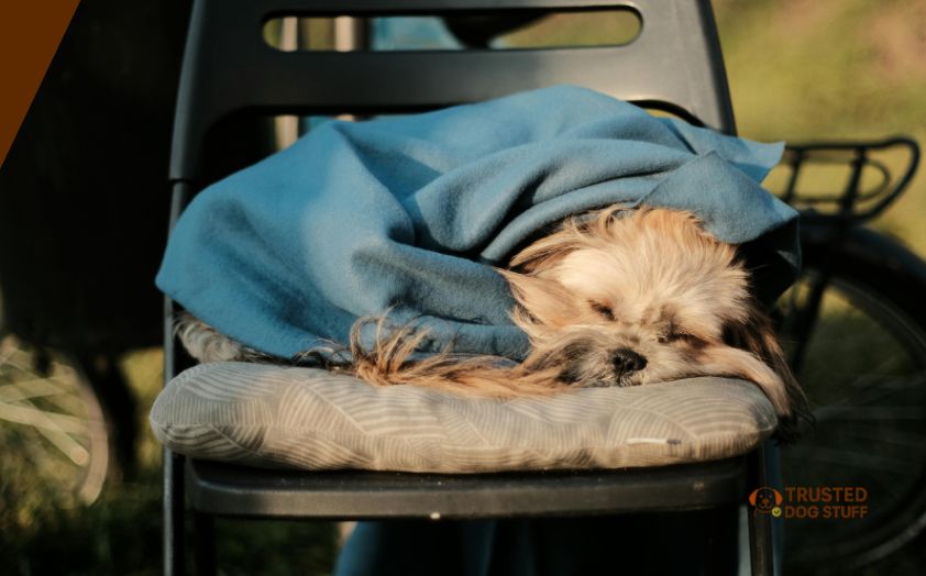 best blankets for dog hair resistant