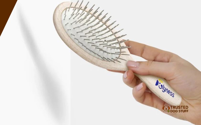 best brushes for newfoundland dog