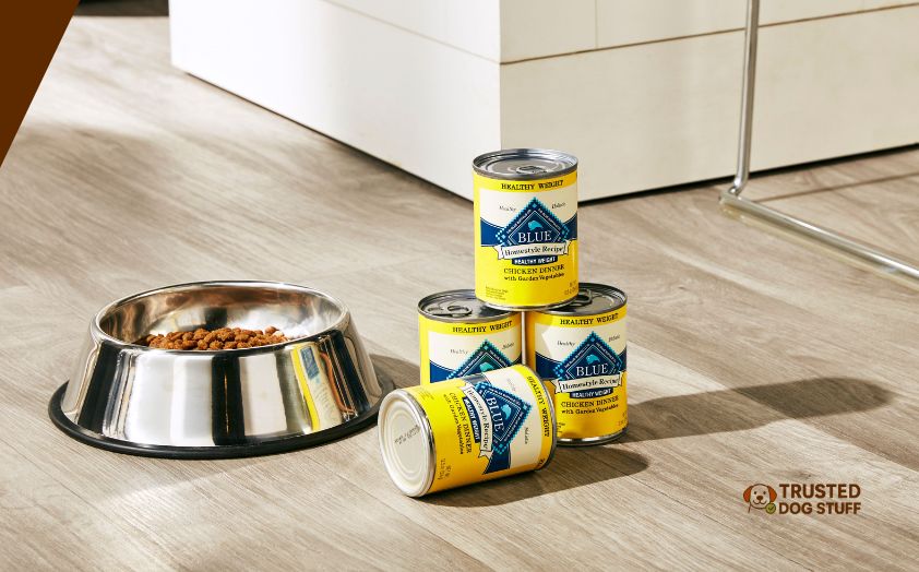 best canned dog foods for older dogs