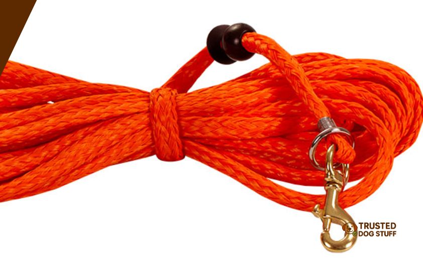 best check cords for dog training