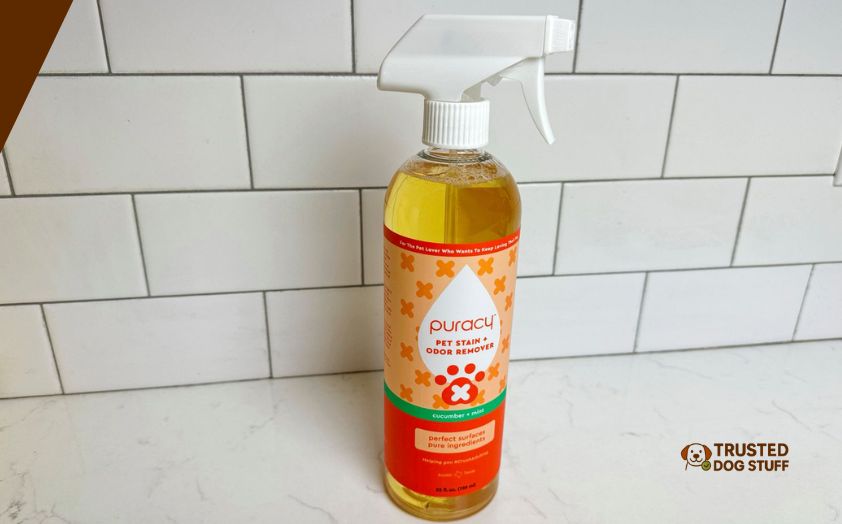 best cleaners for dog urine on concrete