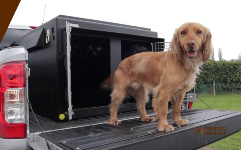 10 Best Dog Boxes For Truck – Top Picks Of 2026 - TrustedDogStuff