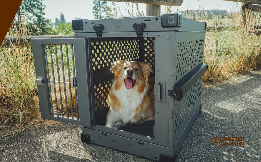 best dog crates for australian shepherd