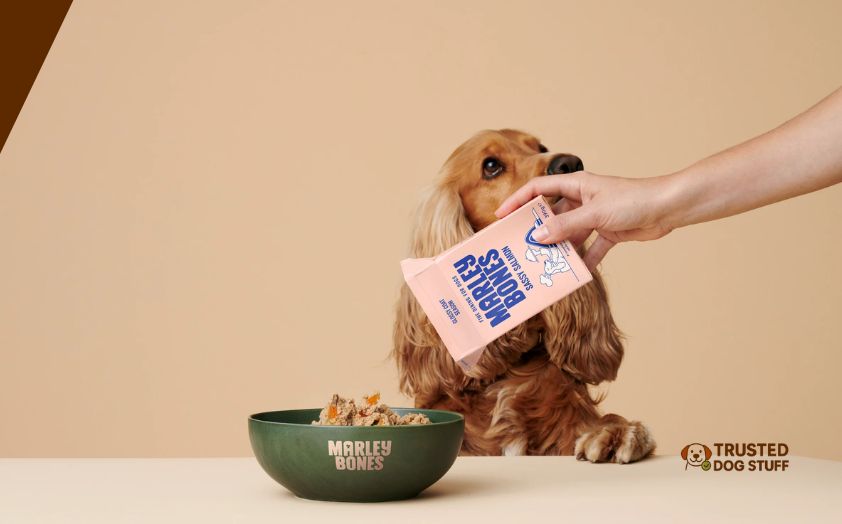 best dog foods for anatolian shepherds