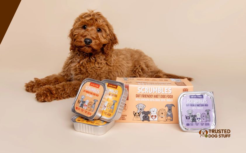 best dog foods for keeshond