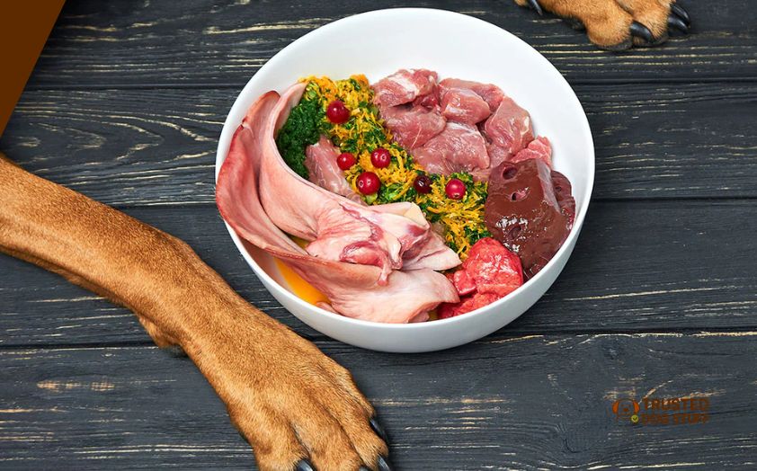 best dog foods for liver problems