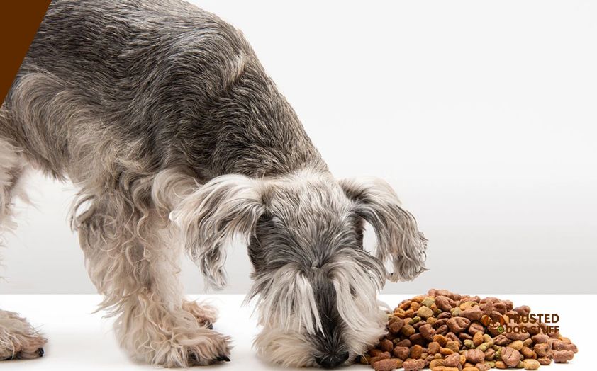 best dog foods for miniature schnauzers