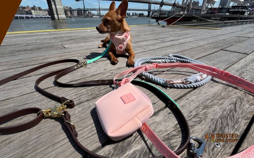 best dog leashes for arthritic hands