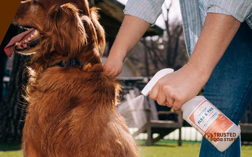 best dog repellent sprays for pooping