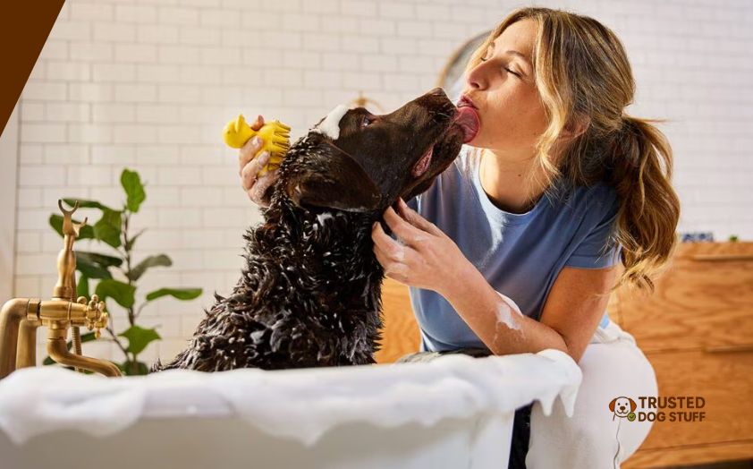 best dog shampoos for allergies