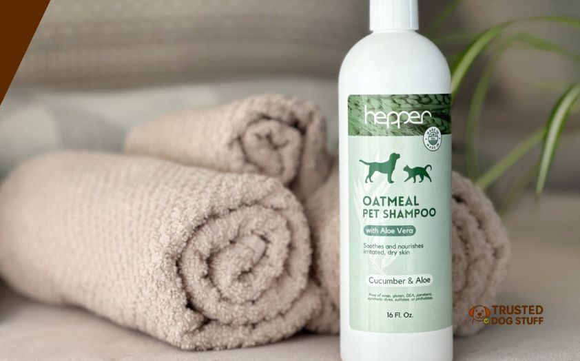 best dog shampoos for irritated skin