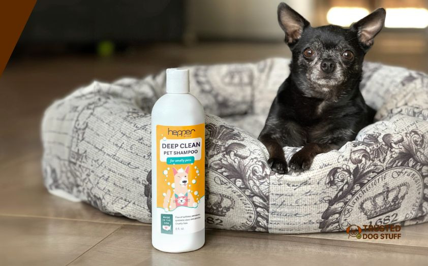 best dog shampoos for seborrheic dermatitis
