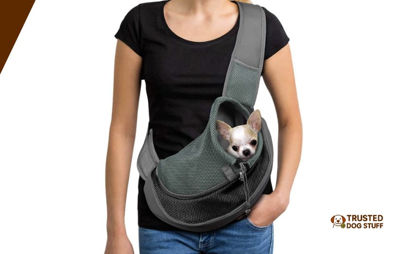 best dog sling carriers for small dogs