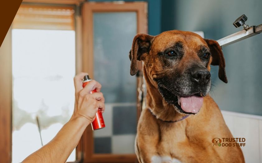 best dog sprays for smelly dogs