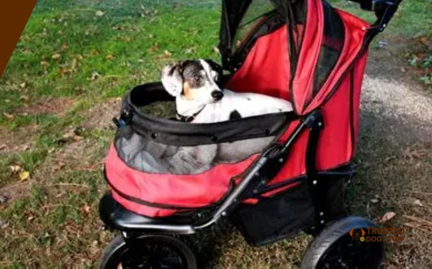 best dog strollers for rough terrain