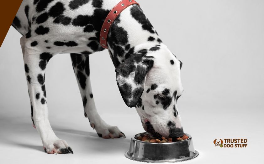 best dry dog foods for liver disease