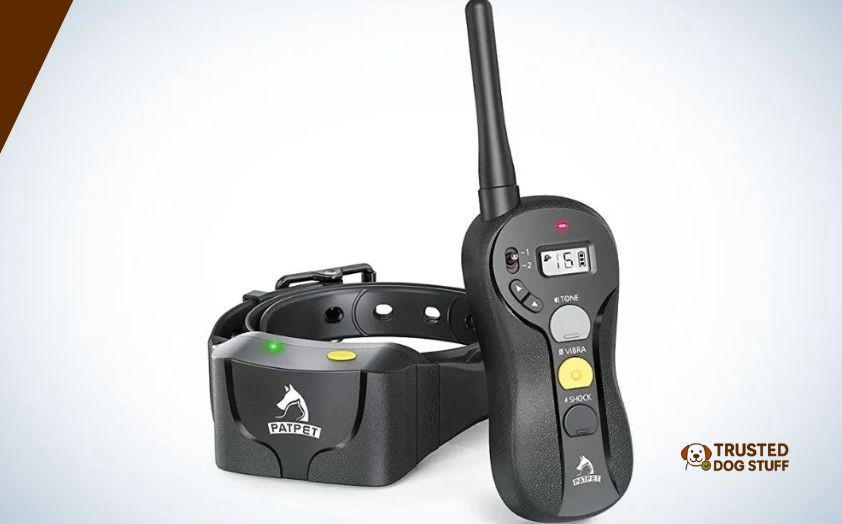 best e-collars for stubborn dogs