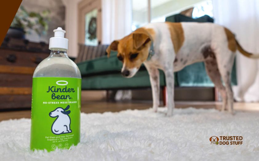 best enzyme cleaners for dog urine on hardwood floors