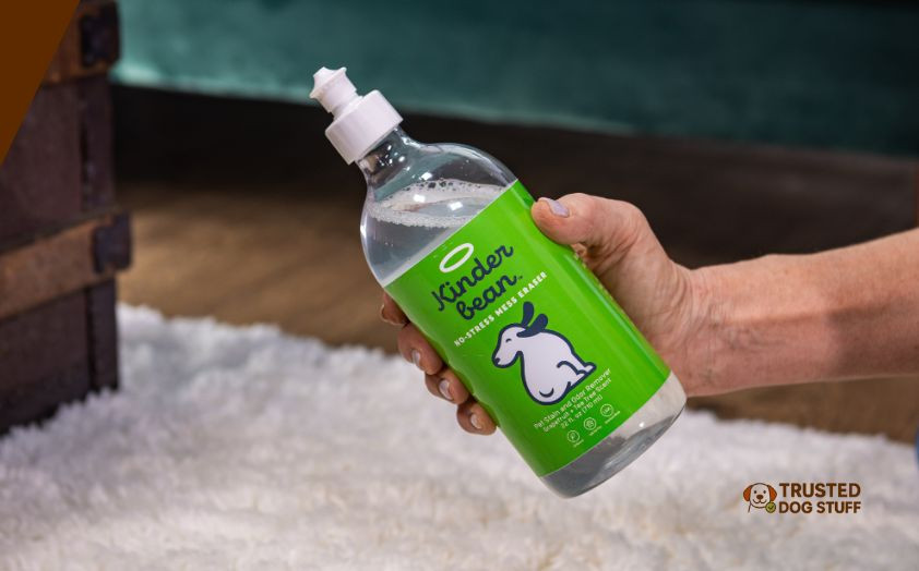 best enzyme cleaners for dog urine outdoor