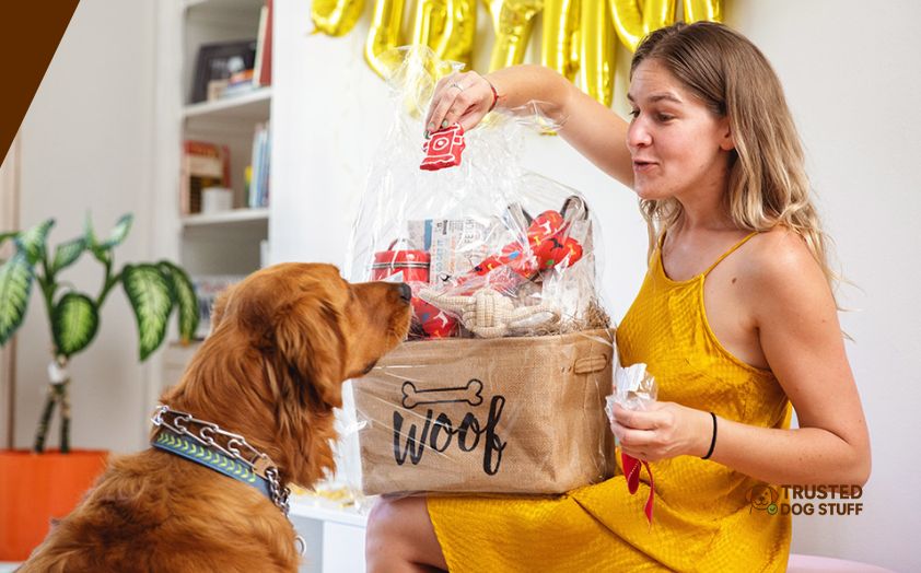 best gifts for dog lovers