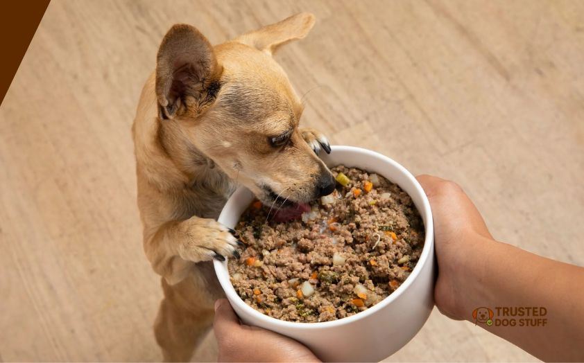 best low fat dog foods for dogs with pancreatitis