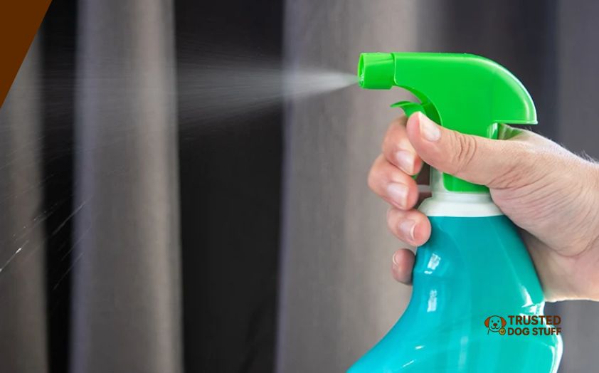 best spray bottles for dog training