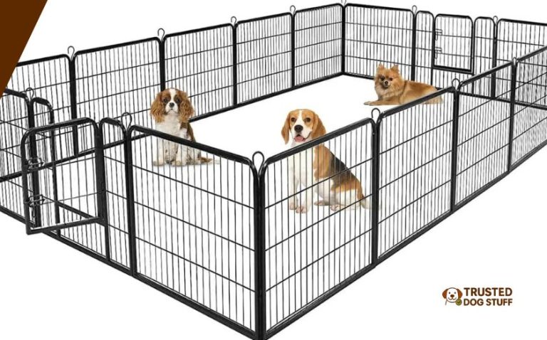 Fresh Look at The 12 Best Temporary Fences For Dogs In 2026
