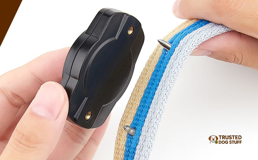 best waterproof airtag cases for dog collar