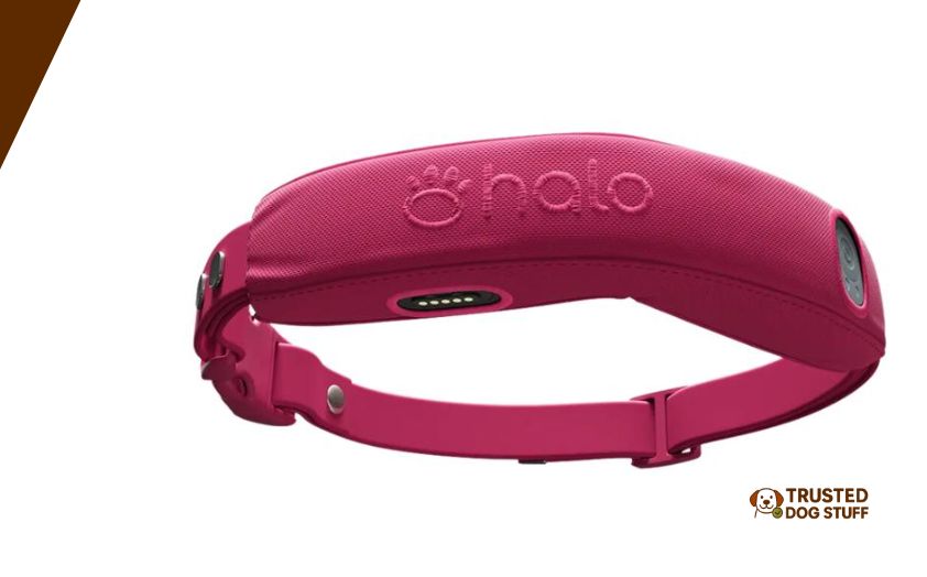 best wireless dog fences for 5 acres