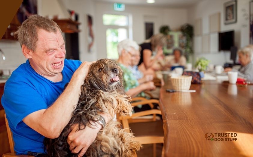how to start a dog day care center