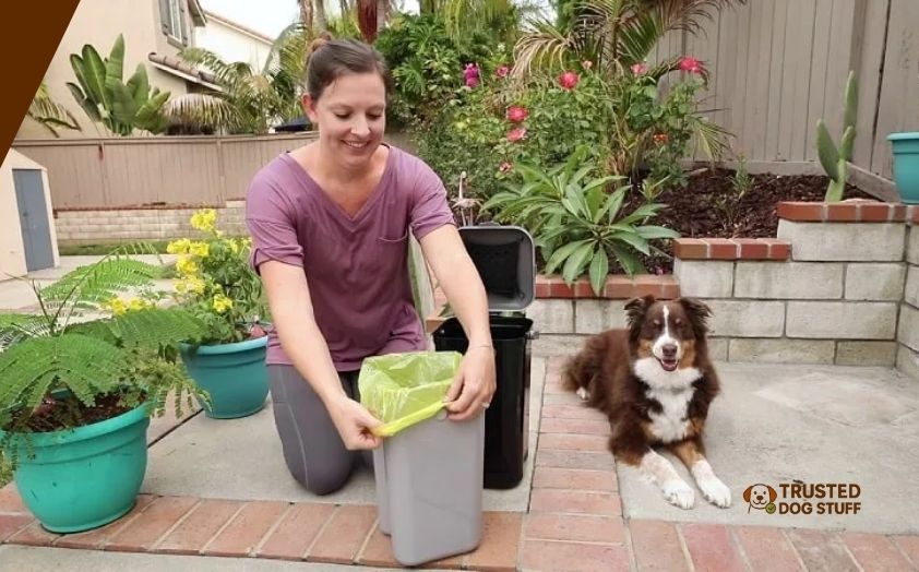 best containers for dog poop