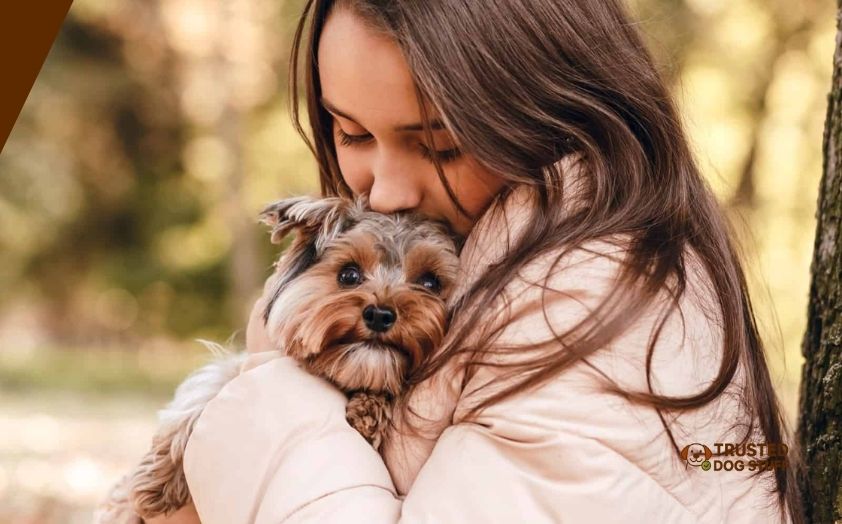 best dog treats for yorkies
