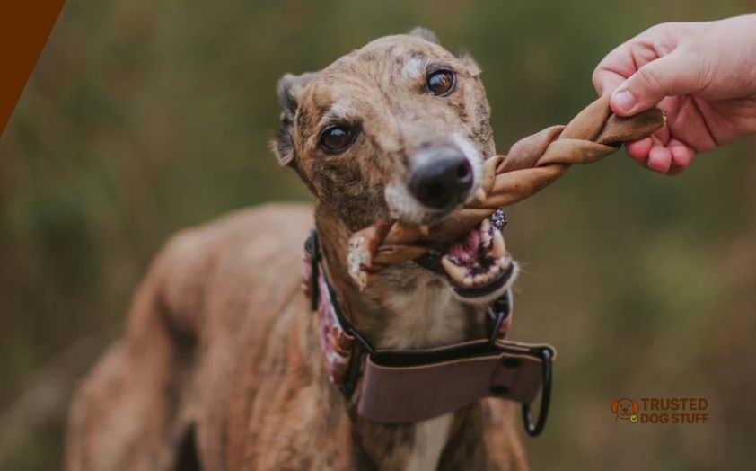 best collagen sticks for dogs