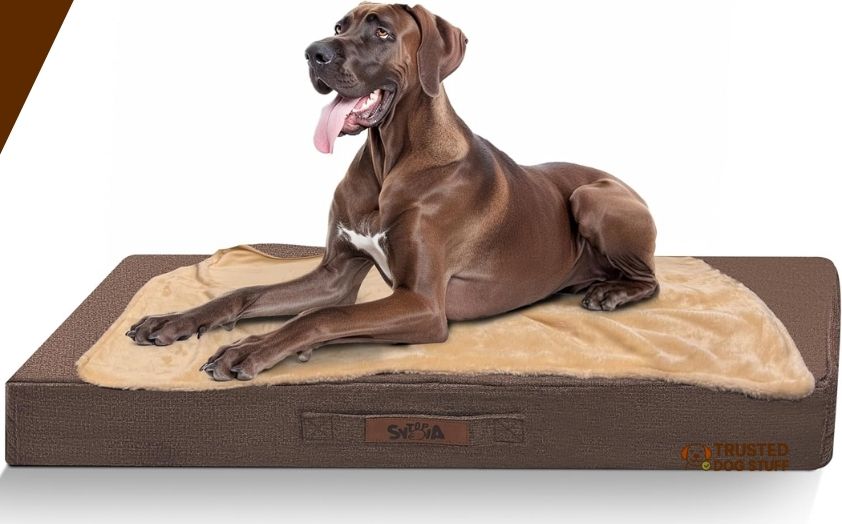 best dog beds for great danes