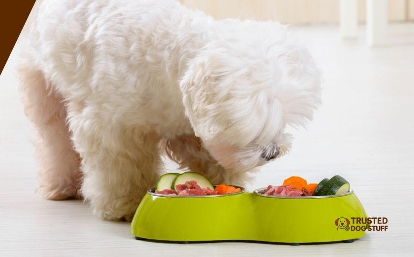 best dog foods for autoimmune disease
