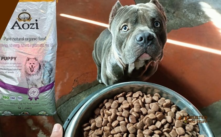 best dog foods for bully puppy