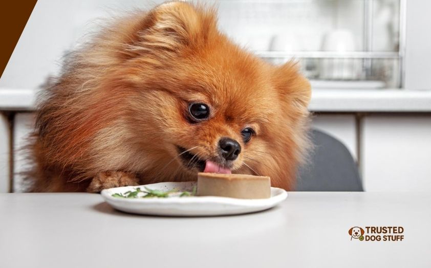 best dog foods for liver disease