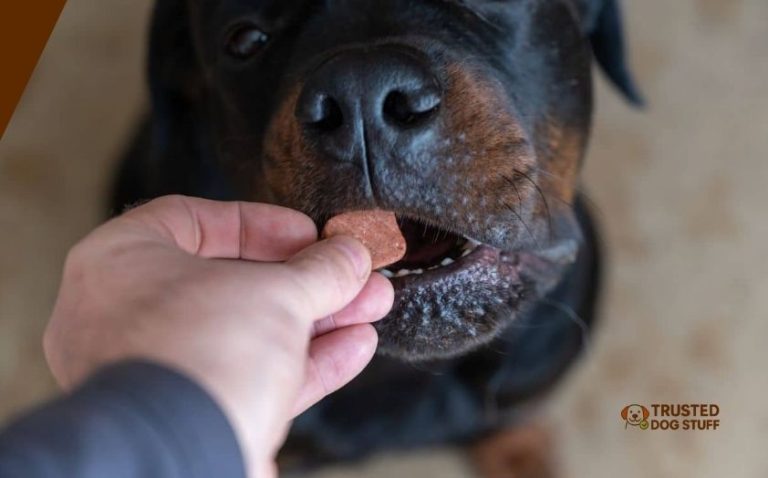 Top 10 Best Dry Dog Foods For Rottweilers Of 2026, Tested by Experts ...