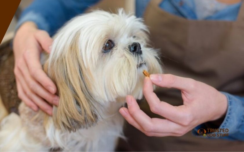 best green lipped mussel supplements for dogs
