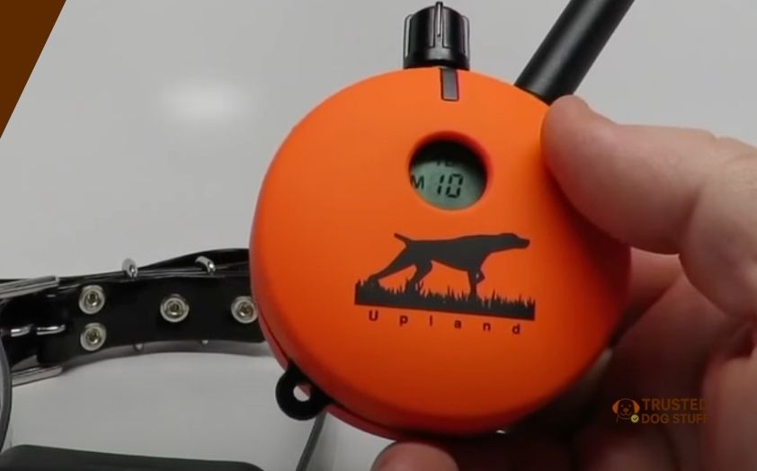 best shock collars for hunting dogs