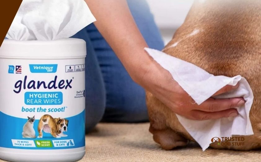 best wipes for dog bottom
