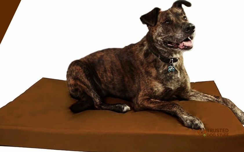 best crate pads for dogs