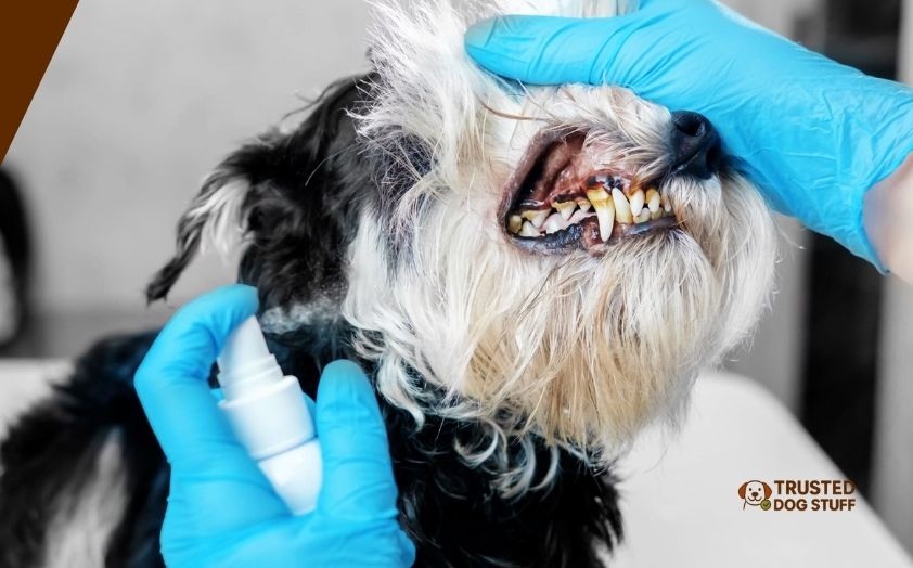 best dog dental sprays for tartar