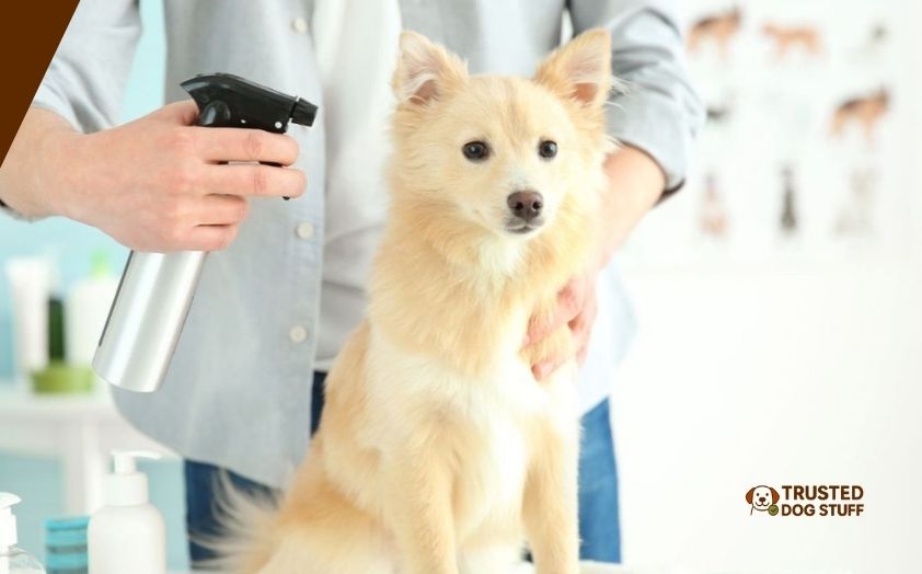 best dog deodorizing sprays for sensitive skin