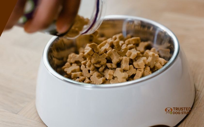 best dog foods for dry itchy skin