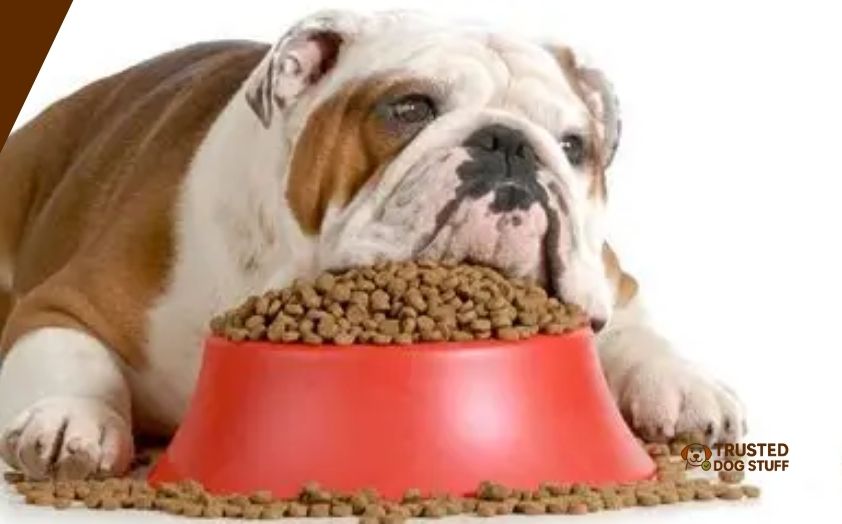 best dog foods for english bulldog puppies