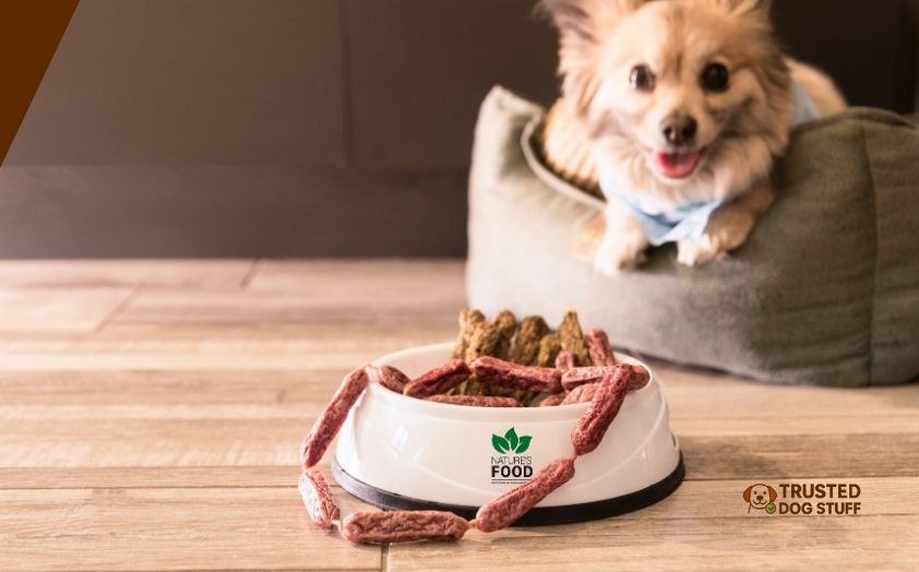 best dog foods for old pomeranian