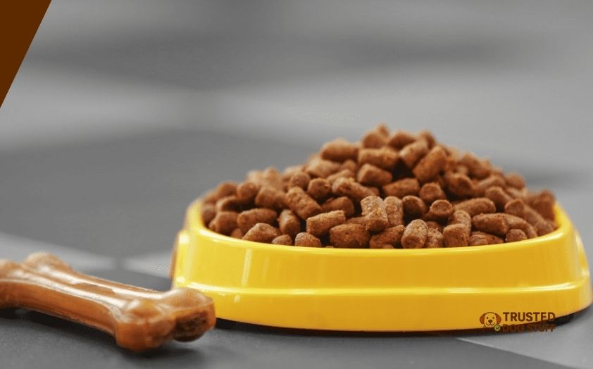 best dog foods for picky puppies